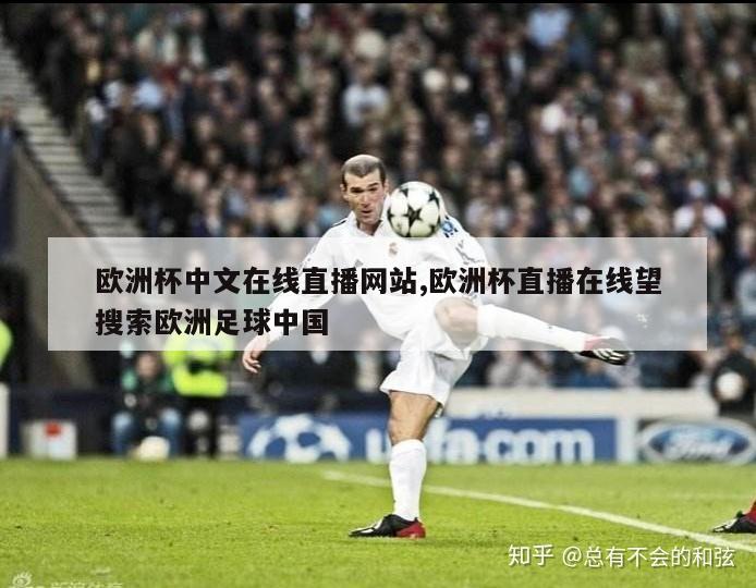 欧洲杯中文在线直播网站,欧洲杯直播在线望搜索欧洲足球中国
